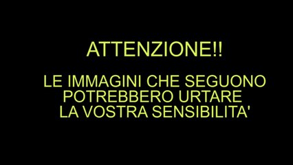 Aveva un prurito nell'orecchio, quello che scopre è raccapricciante