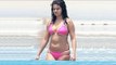 Selena Gomez's Self Esteem Crushed After Being Fat Shamed