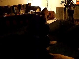 Natas und sein Quietschei