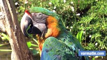 Les animaux du zoo de Sanary parés pour la canicule