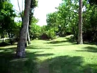 Suite junior au Lemuria (Seychelles)