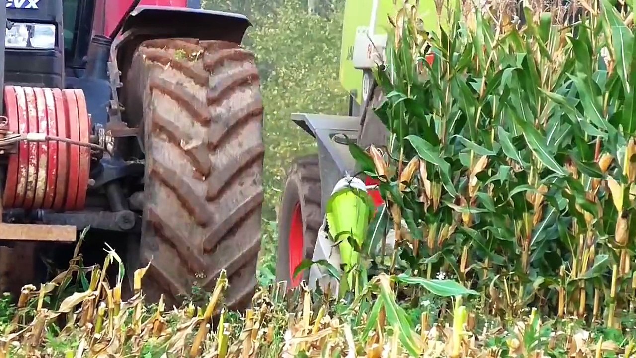 Maisernte 2014 // Heiß auf Mais - Claas Jaguar 850 + Case Puma + Valtra im Einsatz