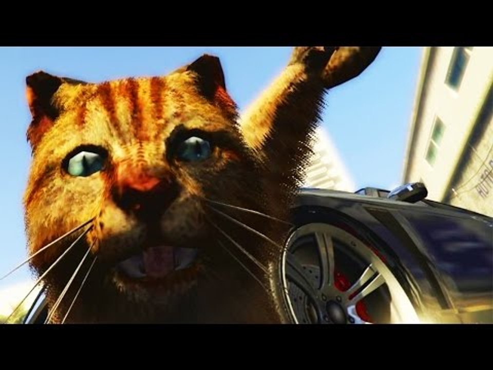 LES SNAPS DE GTA 5 PC LES PLUS MAGNIFIQUES !