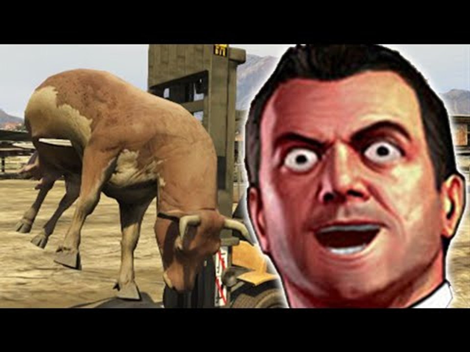 DES MOMENTS FUN ET DES ACTIONS DÉLIRES