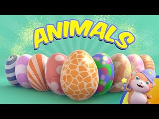 Learn English with Looi the Cat Surprise Eggs | Animals | Compilation