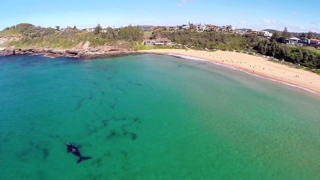 surf vu de haut encore plus beau