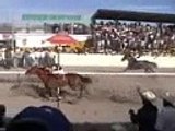 CARRERAS DE CABALLOS CUARTEA DE LUJO CARRIL 2000