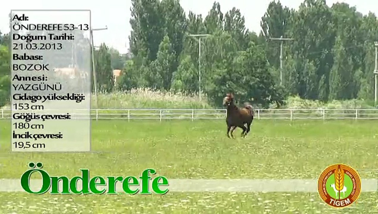 ÖNDEREFE