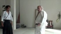 Kinonagare Aikido - Hidden aspects of Aikido techniques