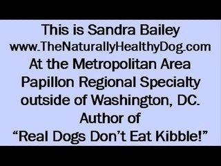 Papillion Dog Show 2 - Natural Raw Diet