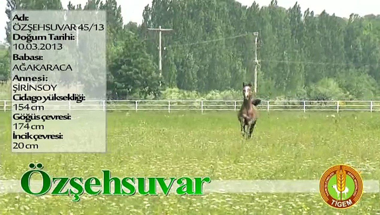 ÖZŞEHSUVAR