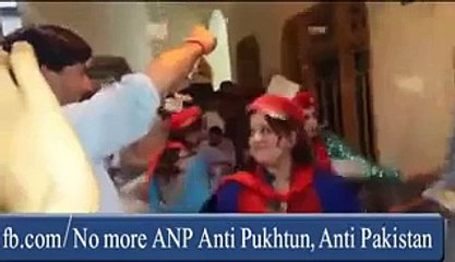 Check Out The Dance Party Of ANP Ministers
