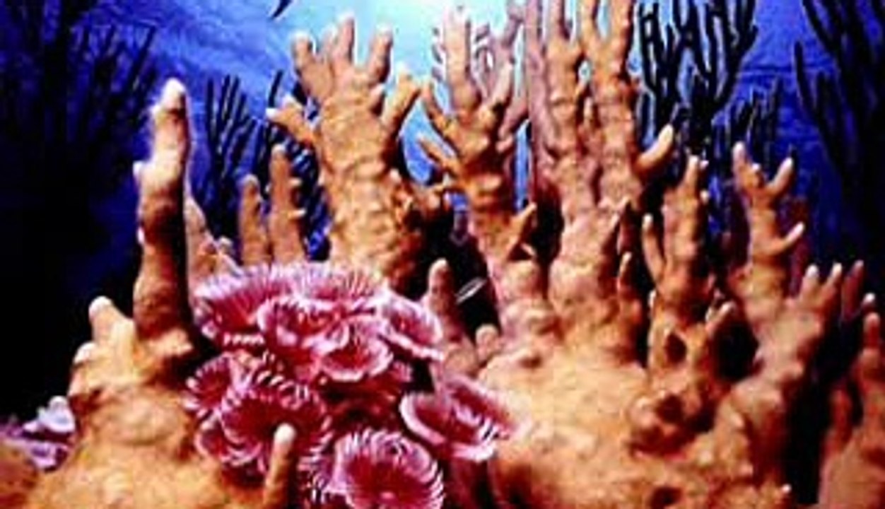 "Tribute to Wesley Willis"- music by All4sounds