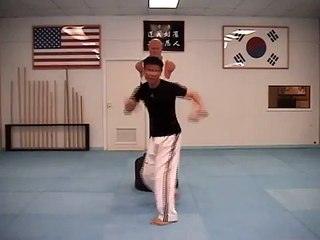 Taekwondo Kicking Techniques Sampler (taekwonwoo)