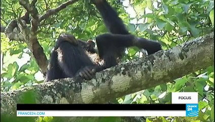 En Ouganda, une Française se bat contre le braconnage
