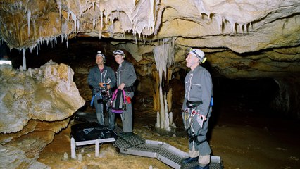 Werner Herzog, Dominique Baffier, Jean Clottes: Cave of Forgotten Dreams ==>[Free Streaming]
