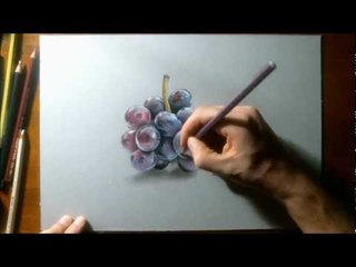 Realistic Drawing - How to draw grapes