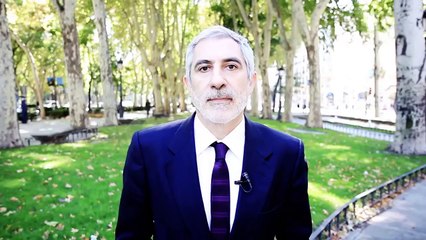 Llamazares Candidato