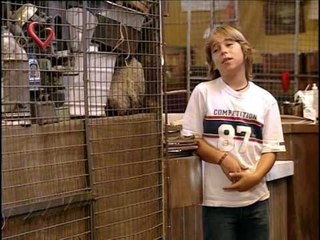 Rincón de luz capitulo 5, Lucas en problemas