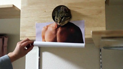 猫頭の仮面 / PERSONA OF CAT かマスク・ド・キャット（マンチカン力丸） 顔【はめ猫】