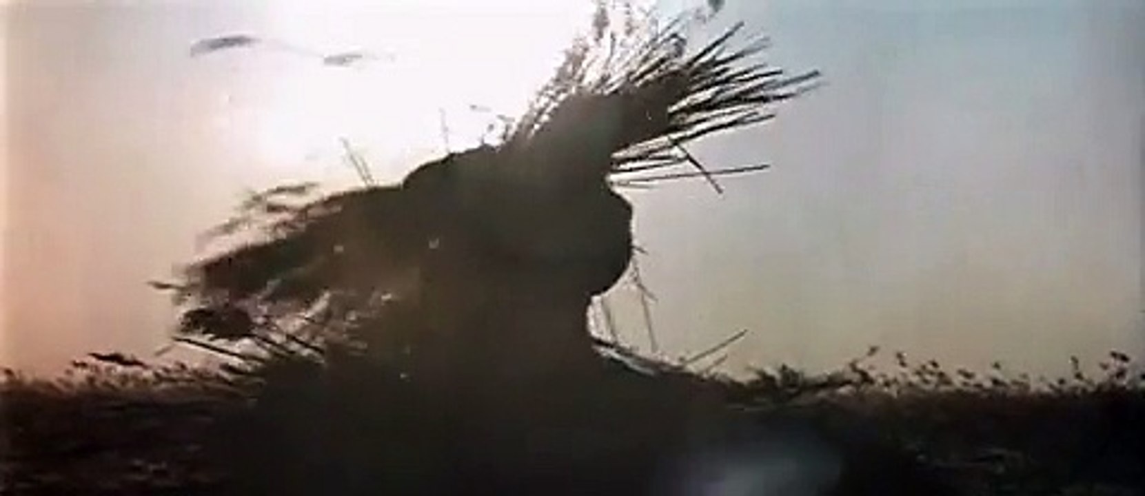 Dersu Uzala 06