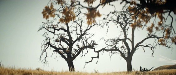 WWE 2K16 - Annonce de la jaquette