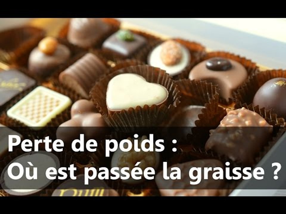 Perte de poids : Où est passée la graisse ? - Scilabus 24