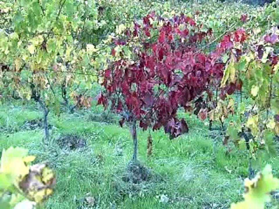 "Portraits d'ares" (extraits)  Agricultures et paysages  / documentaire CAUE