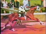 SECRETARIAT - 1973 Preakness Stakes + frame-by-frame analysis of time controversy