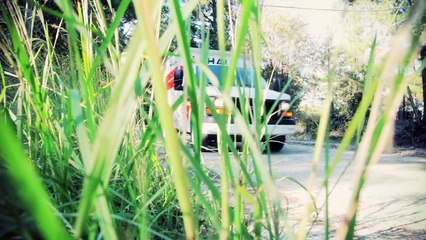 The Lacs - Country Road