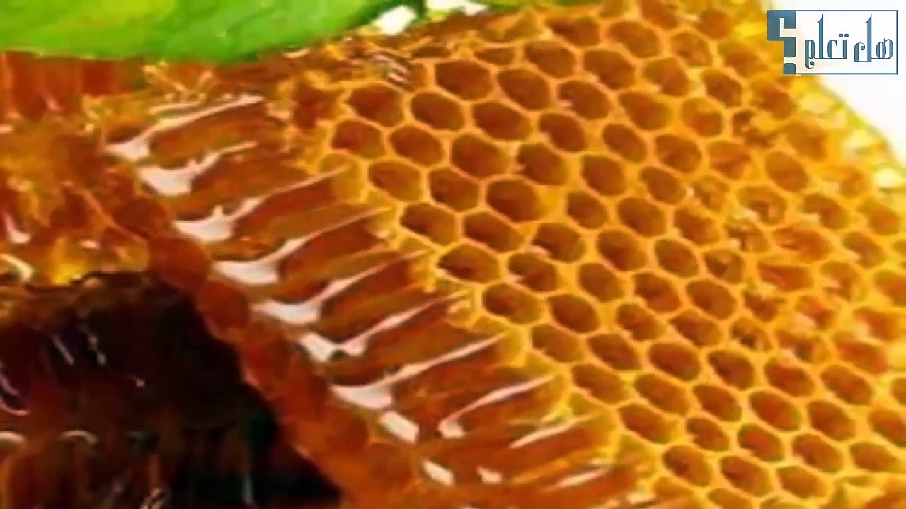 ازالة شعر الوجه بالشمع افضل طريقة لازالة شعر الوجه