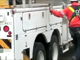 Cat shuns rescue — leaps from Hydro pole