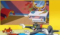 Tom and Jerry Cartoon - Cartoon Network - Animation - cartoon network india