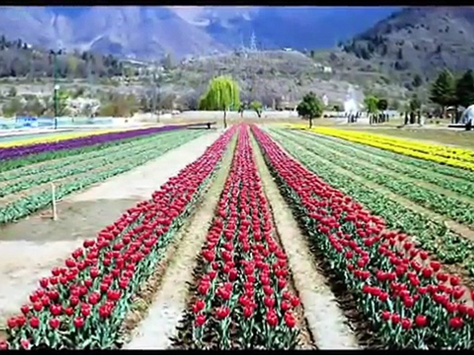 Kashmir Tour