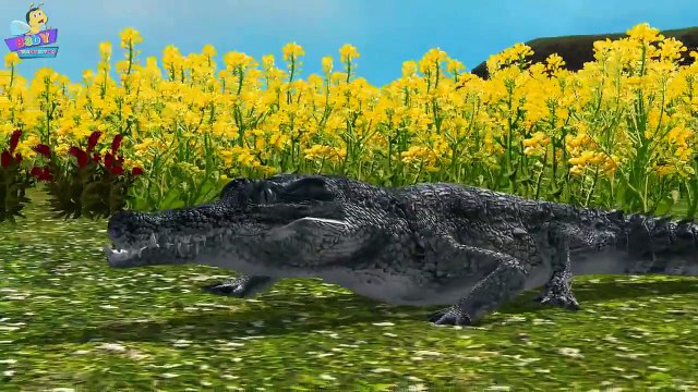 Finger Family Crocodile Family Rhymes | Animals Cartoon Finger Family Rhymes for Children