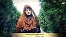 Mein Tauba Karti Hoon: Bushra Rafi