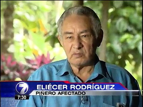 Proagroni no se responsabiliza por las deudas económicas que denuncian cientos de piñeros