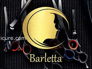 hair cutting scissors/shears