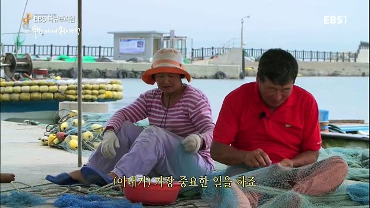 EBS 다큐 프라임.150706