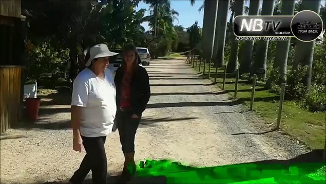 Chacara Alvorada -Frutas direto do Campo