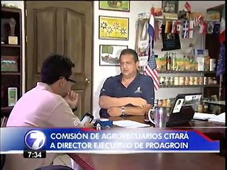 Asamblea Legislativa investigará a Proagroin tras denuncias de cientos de piñeros