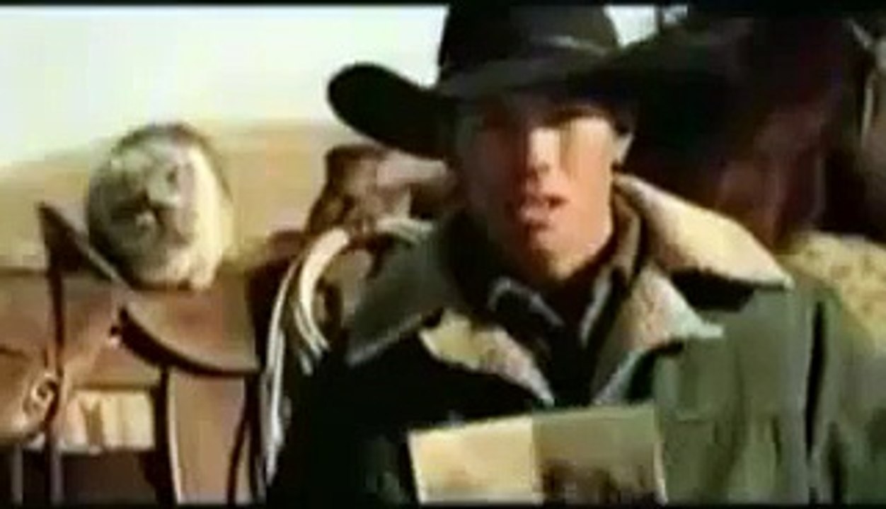 Cat Herding Superbowl Commercial