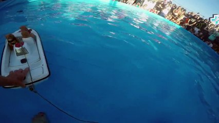 Un écureuil fait du ski nautique
