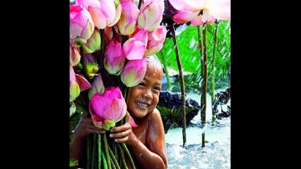 Brincar de viver - Maria Bethânia