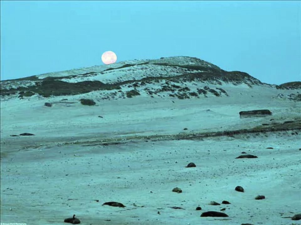 سورة الإخلاص للشيخ محمود خليل الحصري ,المصحف المعلم