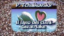 P. Tchaikovsky - Il lago dei cigni, ouverture (swan lake) - clarinetto e piano (clarinet and piano)