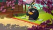 Angry Birds Toons / cute cartoon kids /