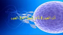 أنت السبب في تأخر الحمل اعرفي السبب