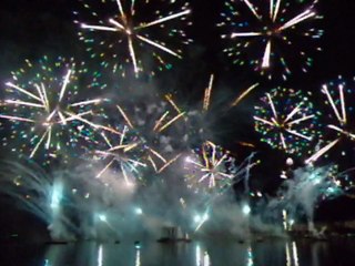 Feu d'artifice de Genève 2014 - P2 T6 - Le coucou