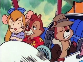 102 Catteries Not Included